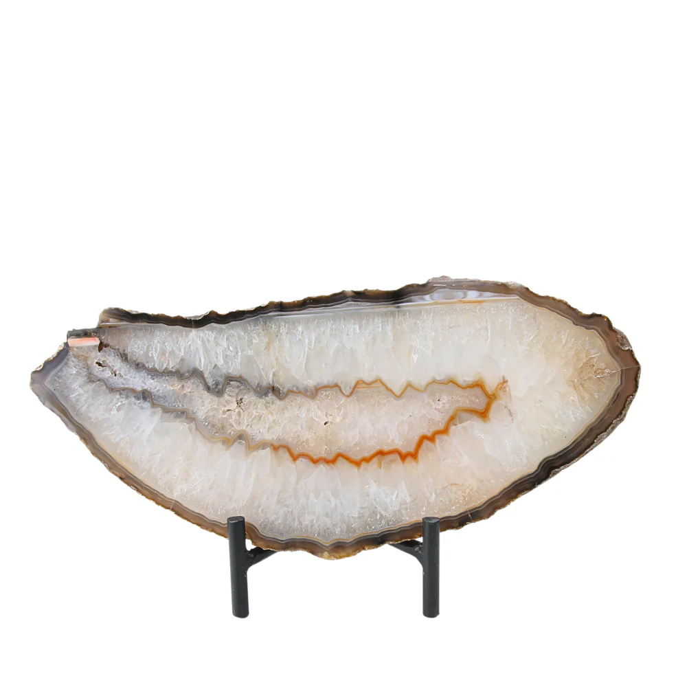 Miniatuur 3