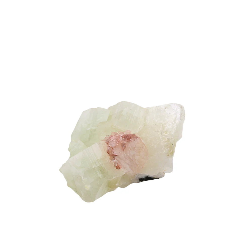 Miniatuur 3