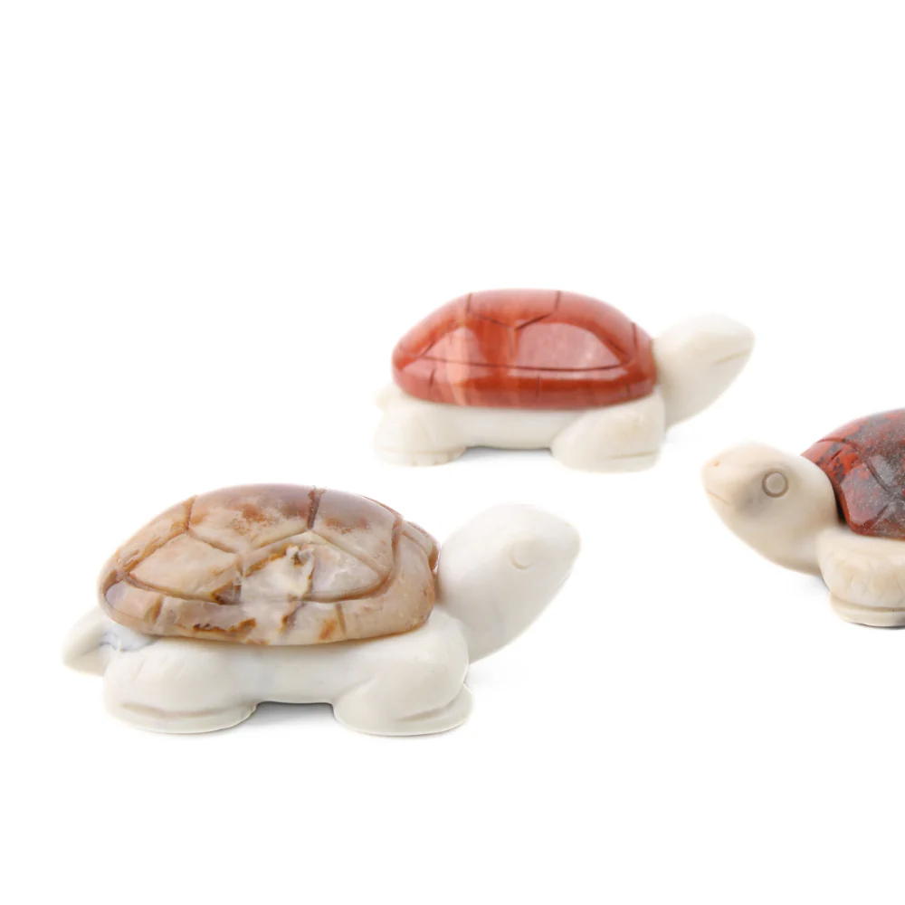 Miniatuur 3
