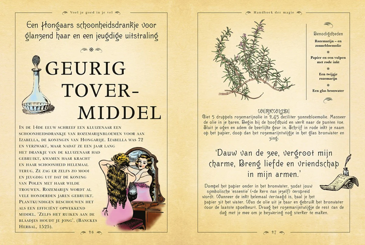 Miniatuur 3