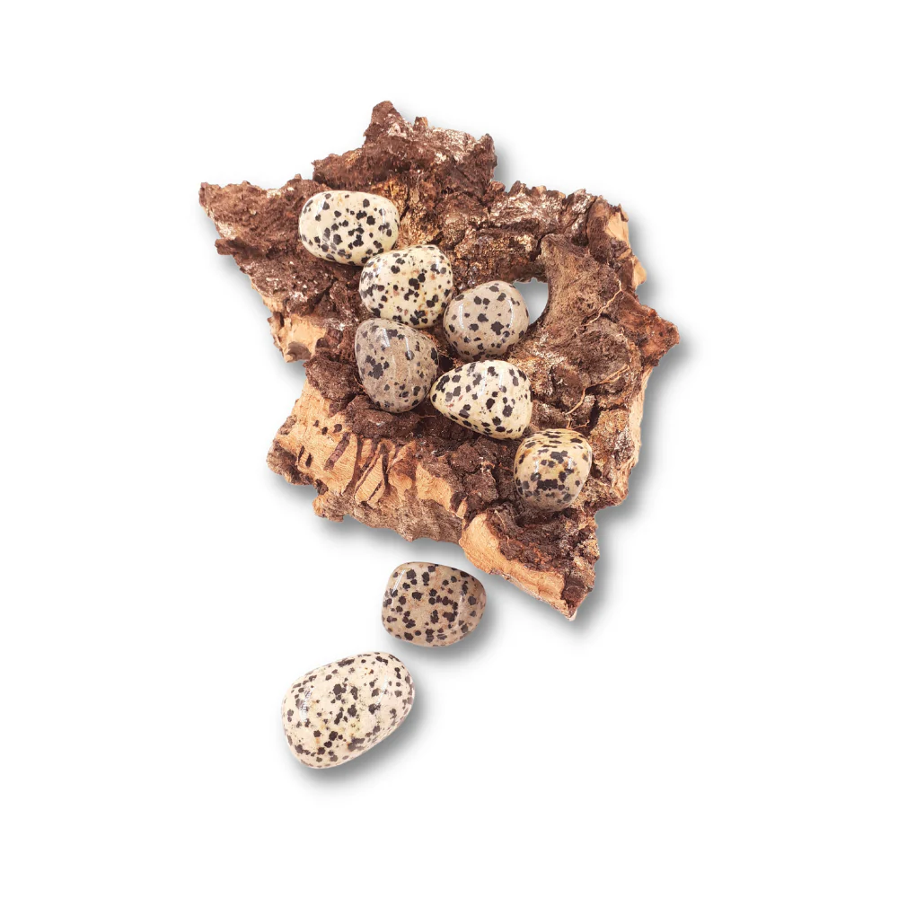 Miniatuur 2