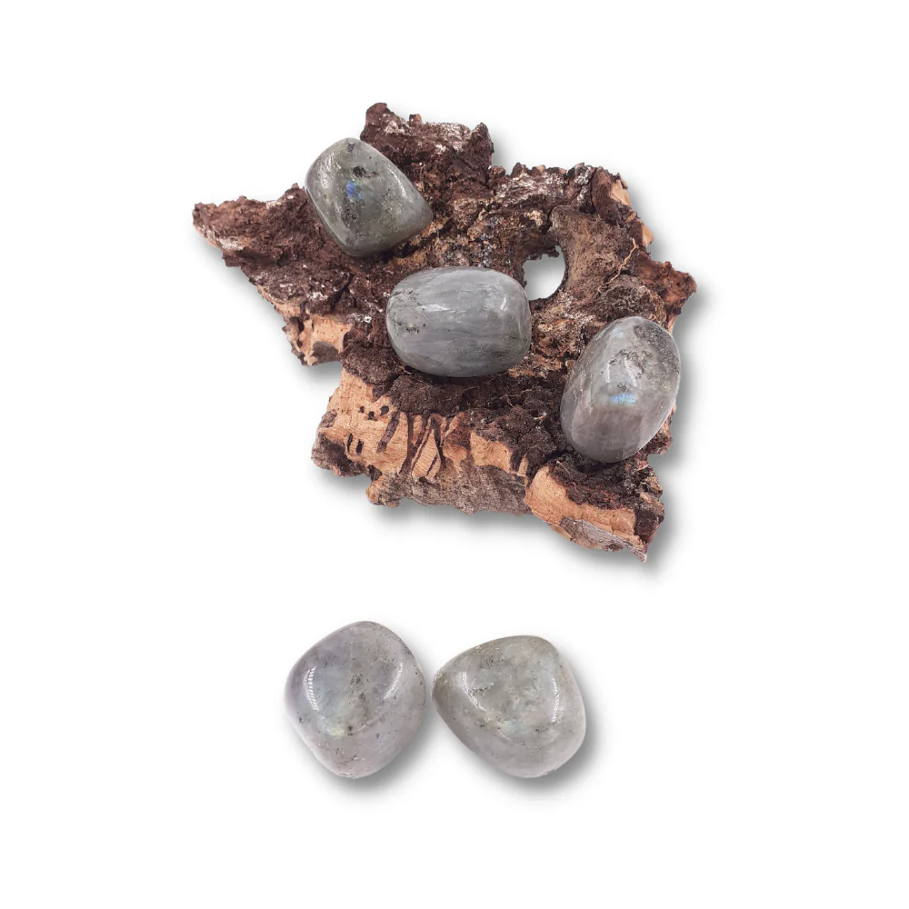 Miniatuur 2