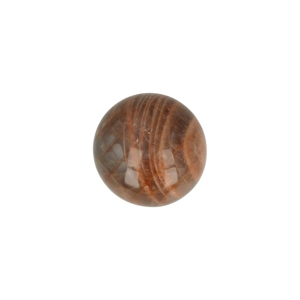 Miniatuur 1