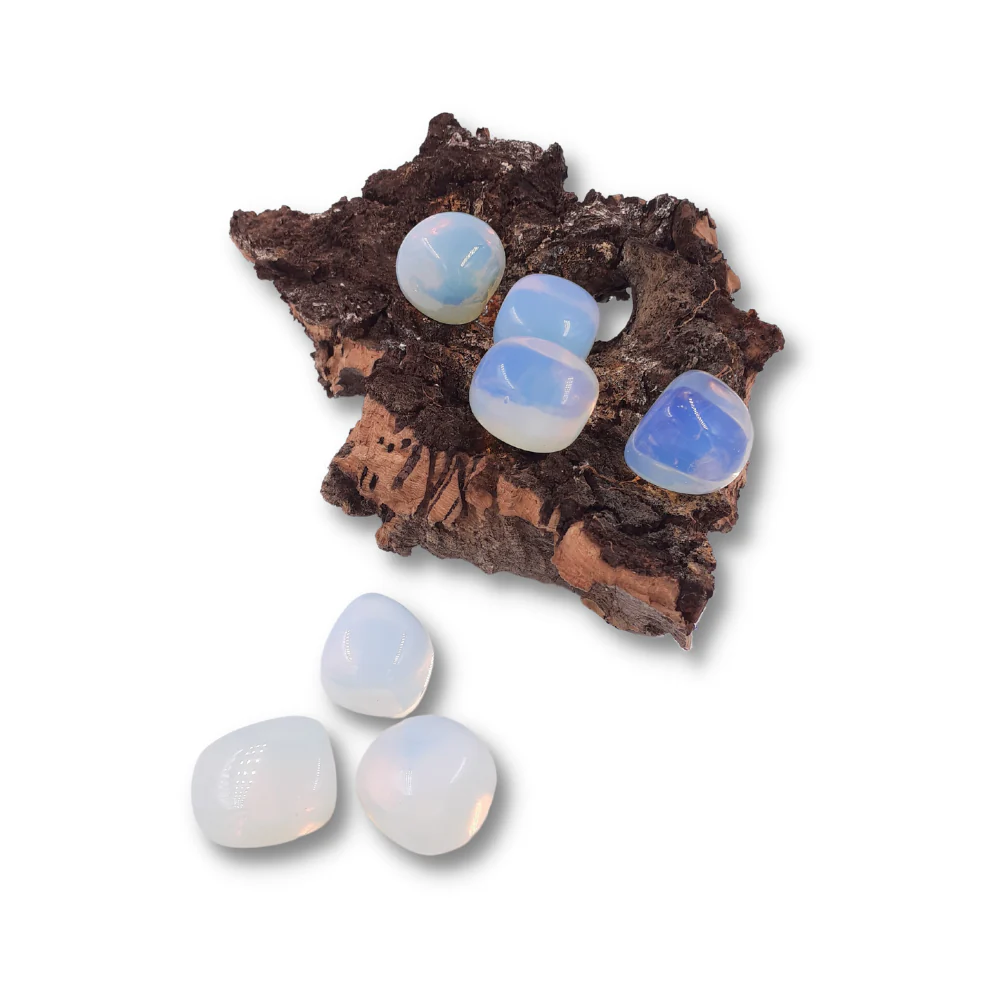 Miniatuur 2