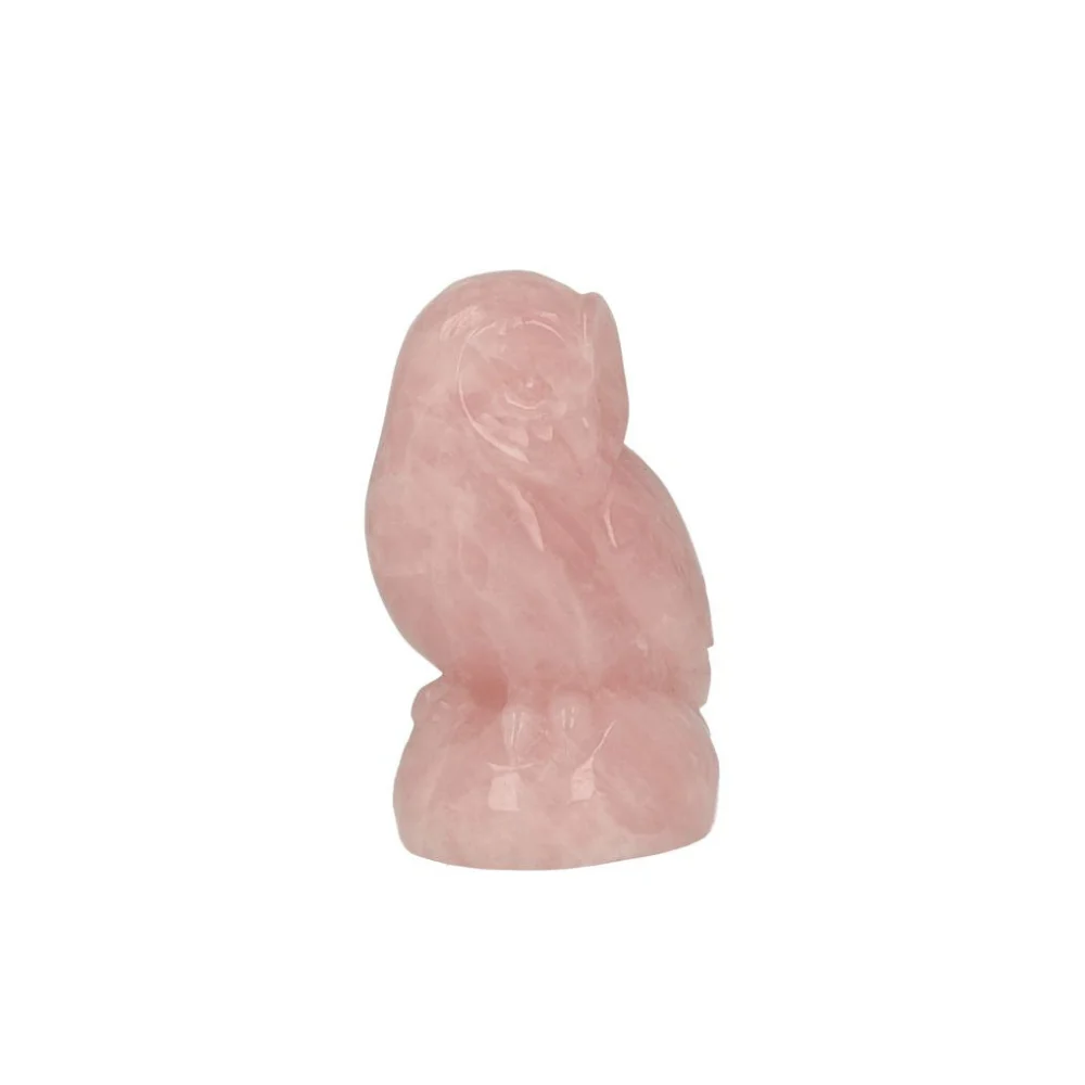 Miniatuur 3