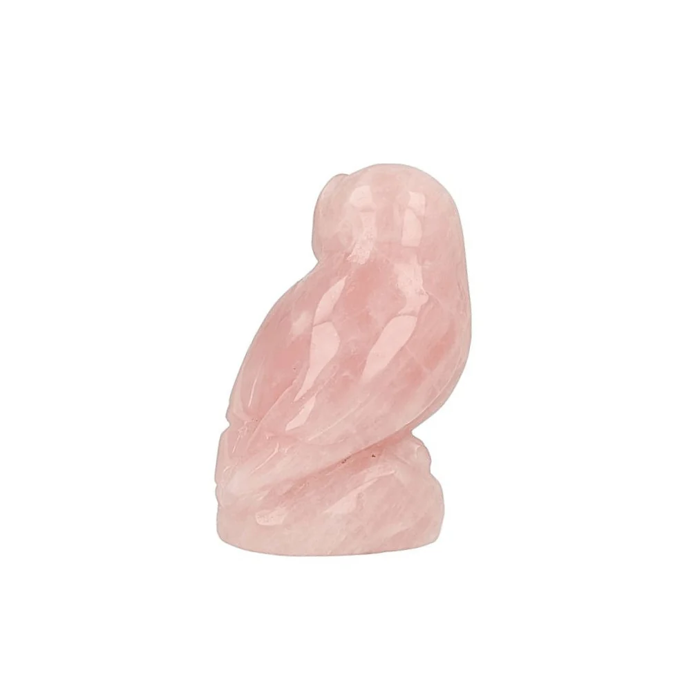 Miniatuur 4