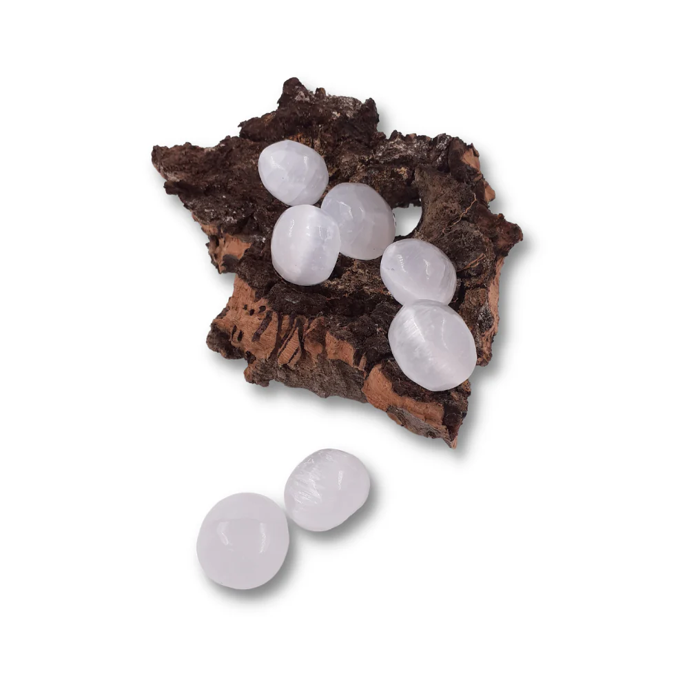 Miniatuur 2