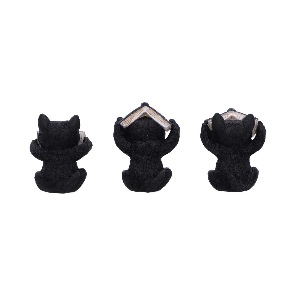 Miniatuur 2